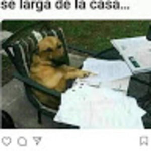 Meet your Posher, Cristopher